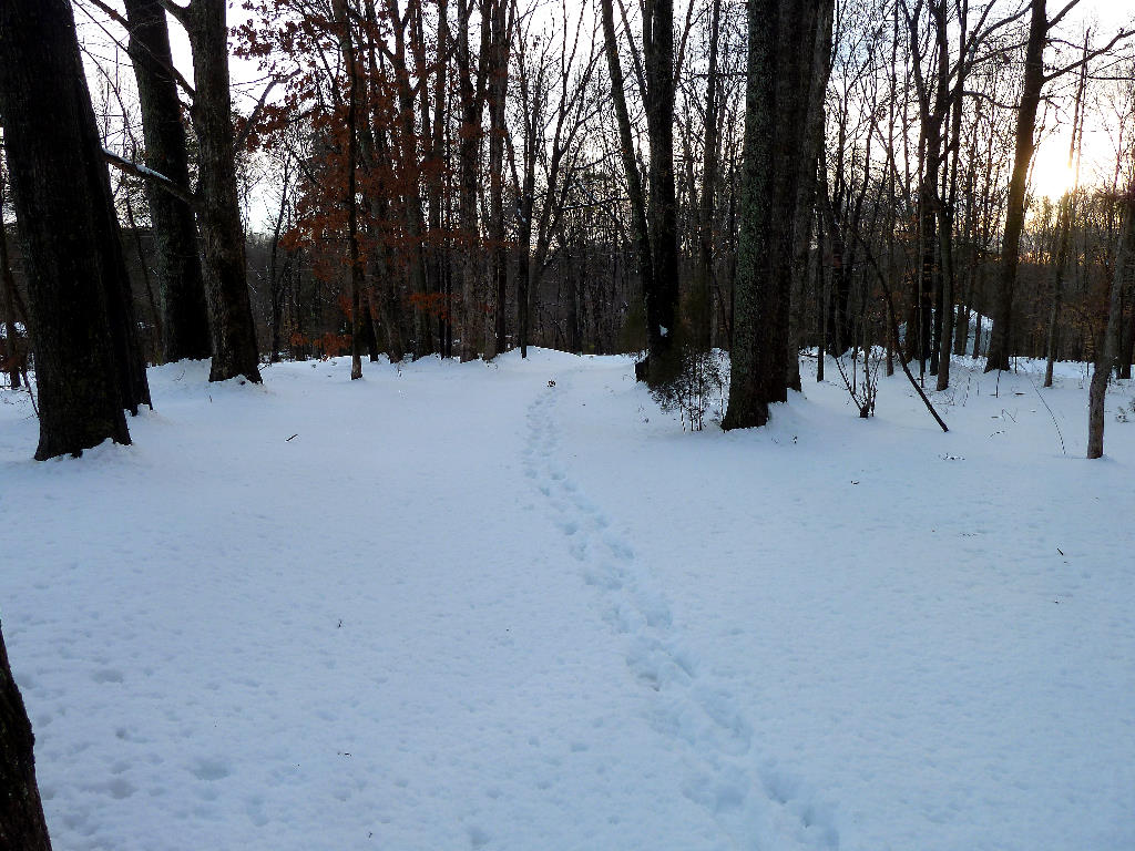 Snow Storm 2014